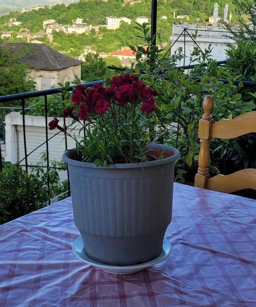Gjirokastër Guesthouse Recka דירה